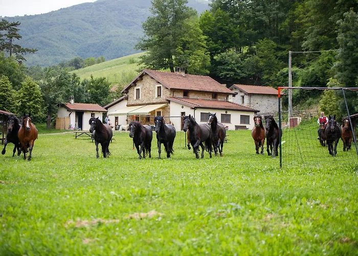 Agriturismo Carovane