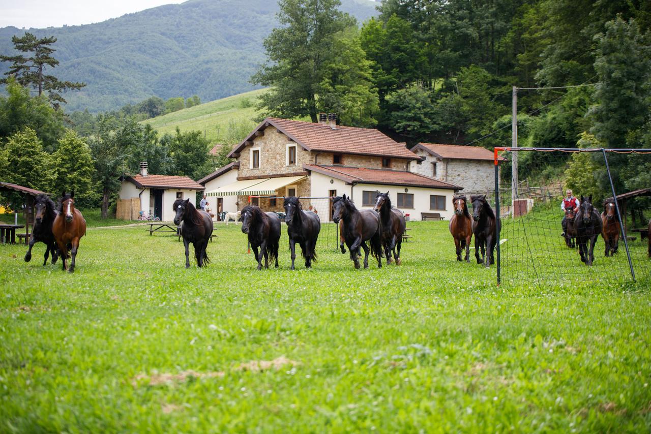 Alloggio per agriturismo Carovane Compiano