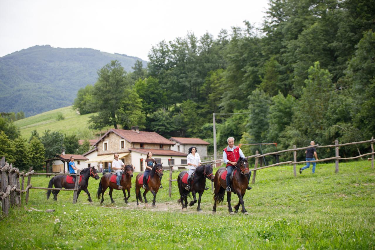 Carovane Alloggio per agriturismo *